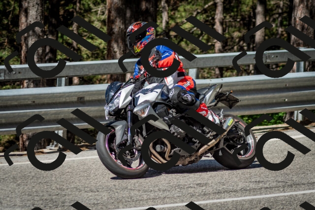 202506291009-DSC_2204_c2