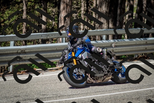 202506291009-DSC_2212_c2