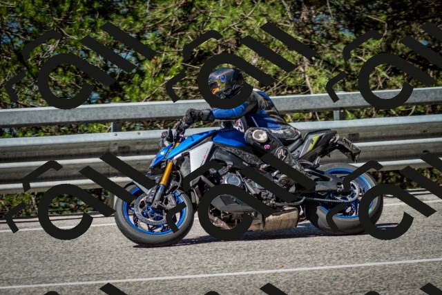 202506291009-DSC_2213_c2