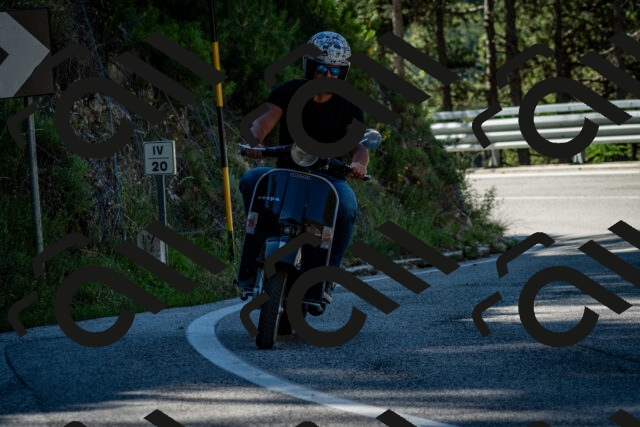 202506291010-DSC_2216_c2