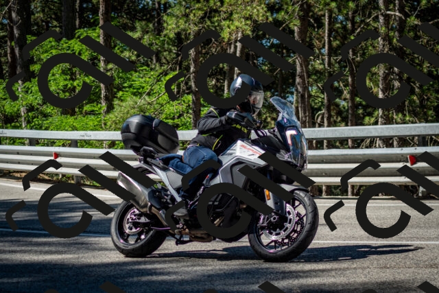 202506291010-DSC_2218_c2