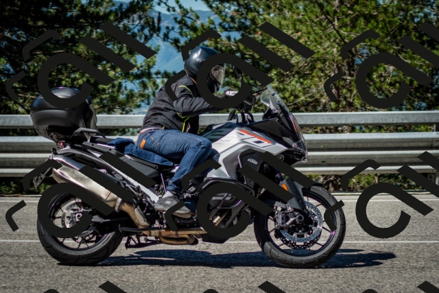 202506291010-DSC_2219_c2