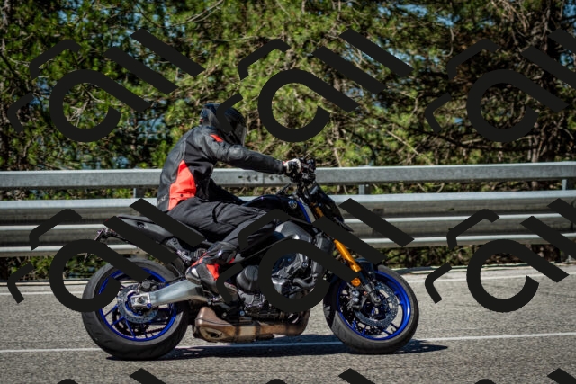 202506291013-DSC_2229_c2