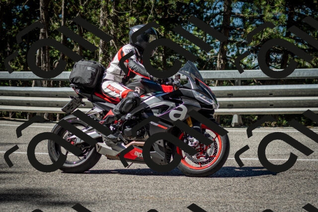 202506291014-DSC_2233_c2