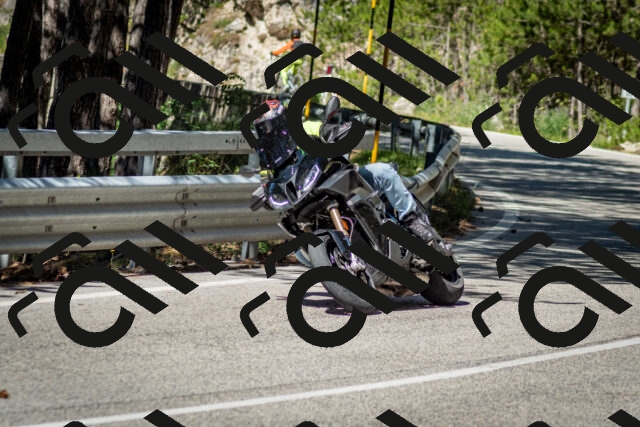 202506291016-DSC_2239_c2