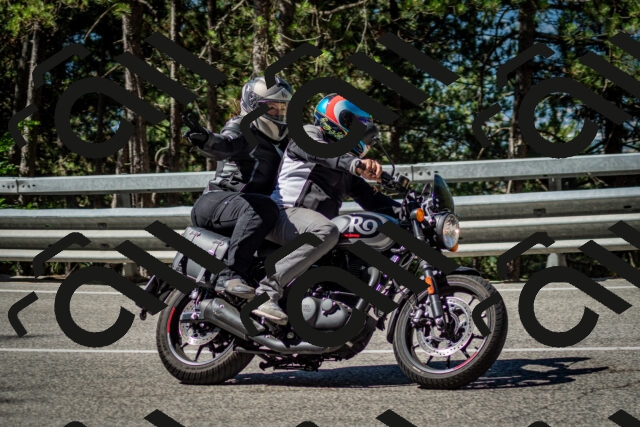 202506291017-DSC_2250_c2