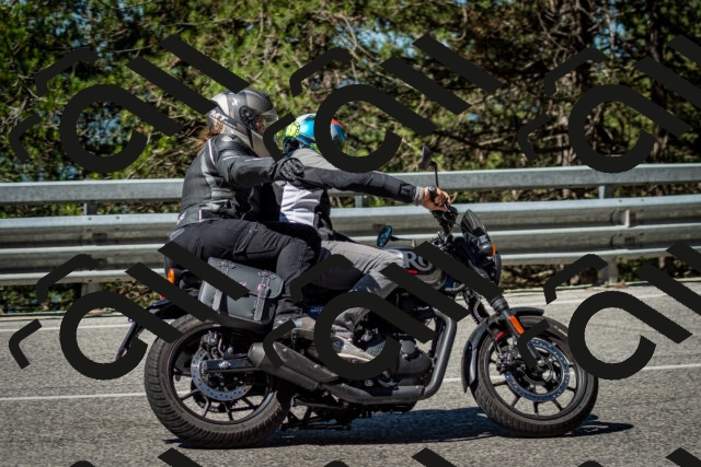 202506291017-DSC_2251_c2