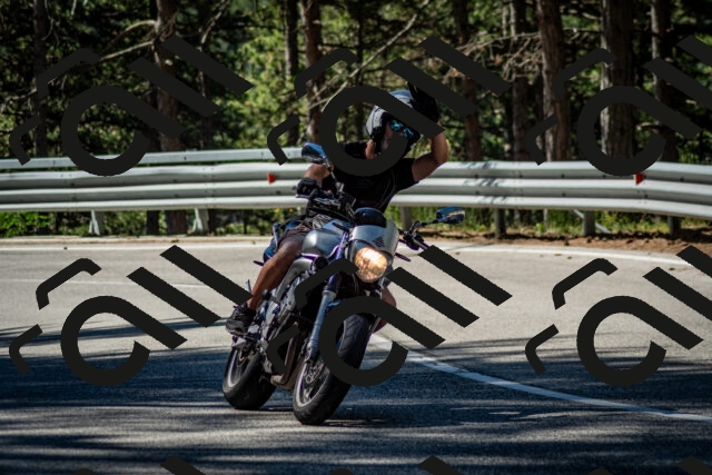 202506291018-DSC_2255_c2