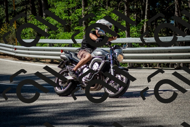 202506291018-DSC_2256_c2