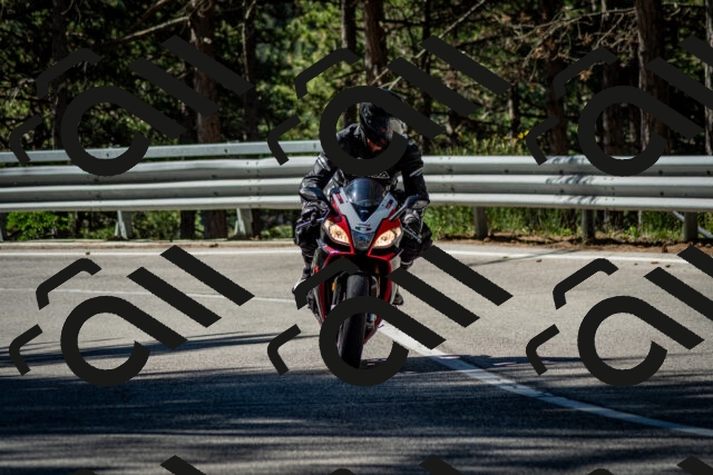 202506291019-DSC_2259_c2