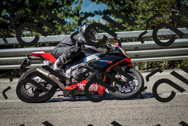 202506291019-DSC_2260_c2