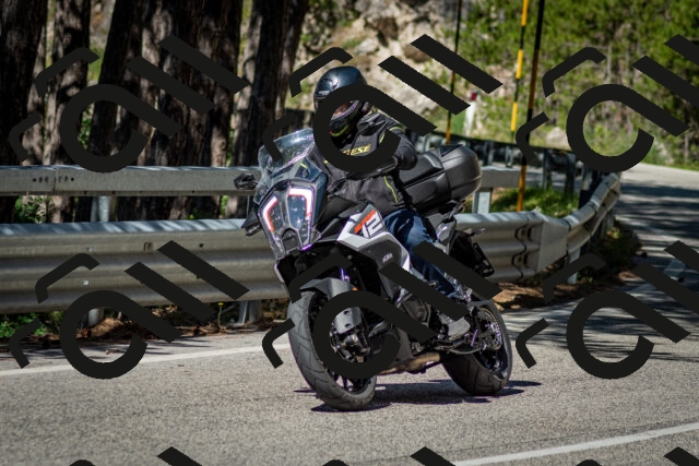 202506291019-DSC_2261_c2