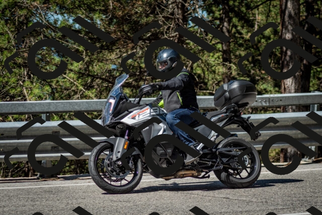 202506291019-DSC_2262_c2