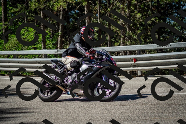 202506291020-DSC_2268_c2