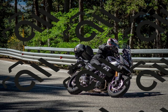 202506291021-DSC_2277_c2