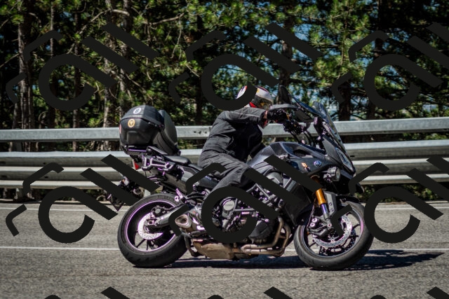 202506291021-DSC_2278_c2