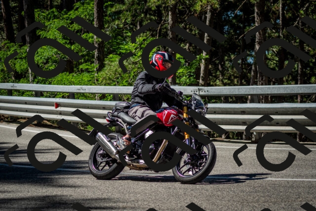 202506291021-DSC_2279_c2