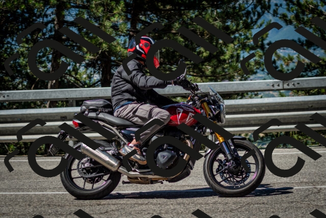 202506291021-DSC_2280_c2