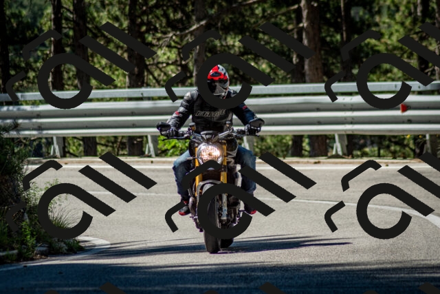 202506291023-DSC_2285_c2