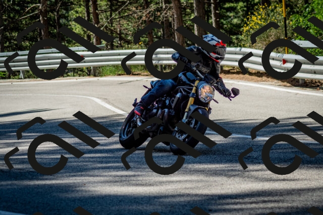 202506291023-DSC_2286_c2