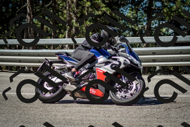 202506291026-DSC_2289_c2