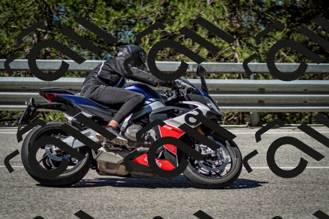 202506291026-DSC_2290_c2