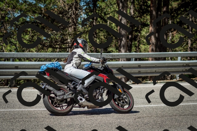 202506291026-DSC_2293_c2