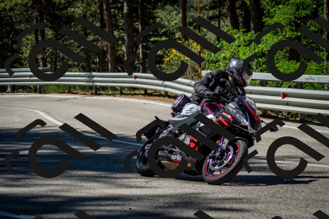 202506291026-DSC_2294_c2