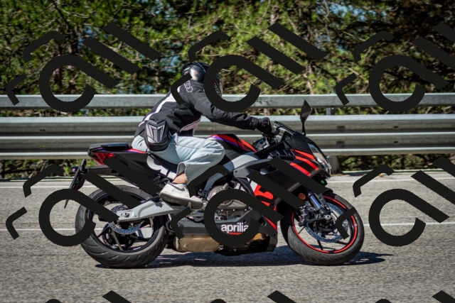 202506291026-DSC_2295_c2