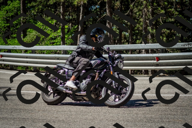 202506291026-DSC_2297_c2