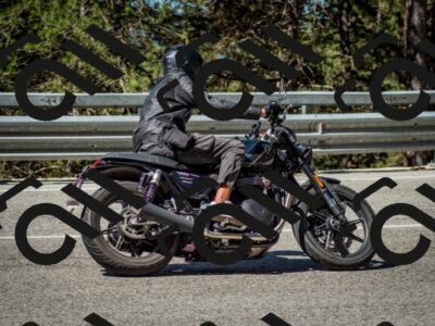 202506291027-DSC_2298_c2