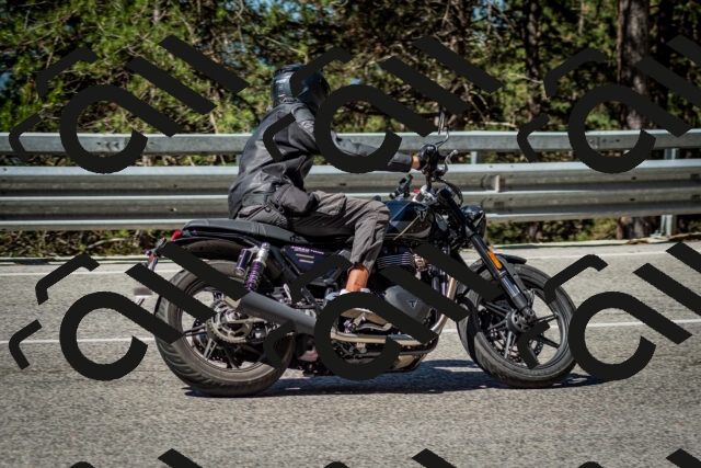 202506291027-DSC_2298_c2