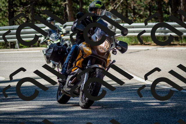 202506291028-DSC_2299_c2