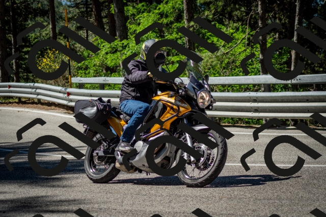 202506291028-DSC_2300_c2