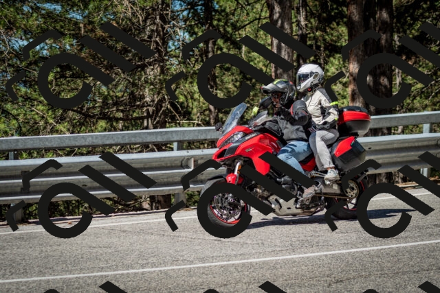 202506291029-DSC_2310_c2