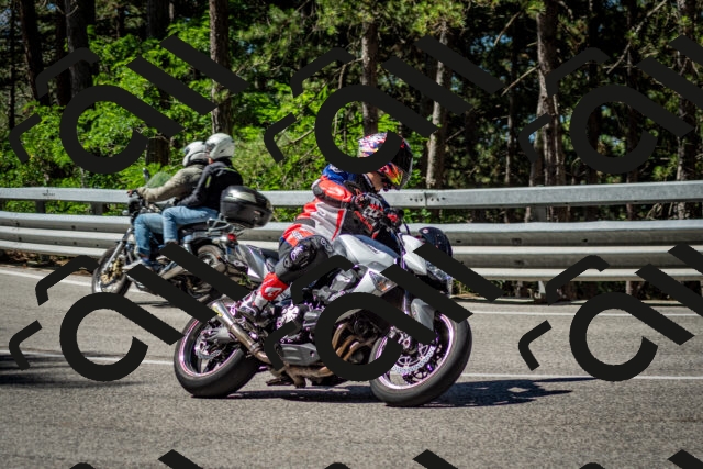 202506291029-DSC_2313_c2