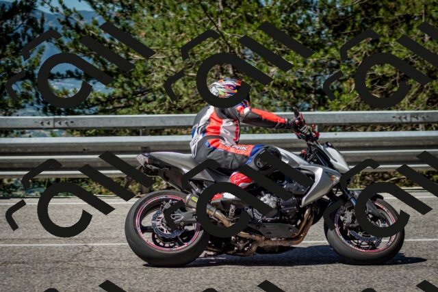 202506291029-DSC_2314_c2