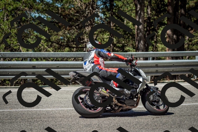 202506291029-DSC_2315_c2