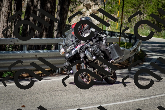 202506291030-DSC_2316_c2