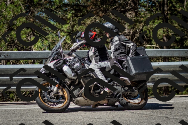 202506291030-DSC_2317_c2