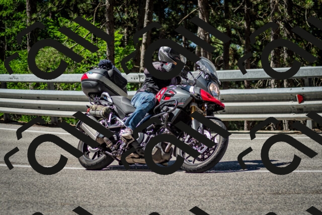 202506291030-DSC_2325_c2