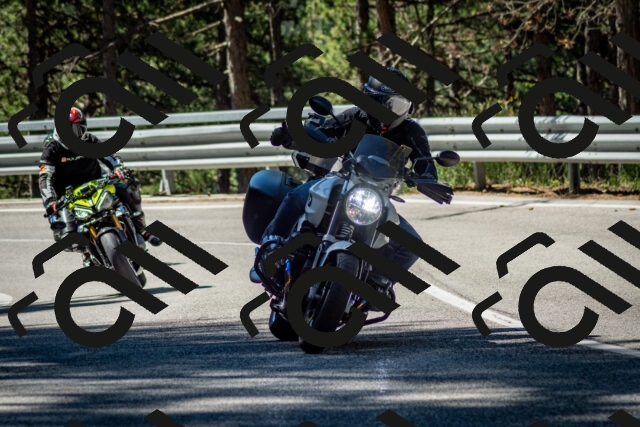 202506291030-DSC_2327_c2