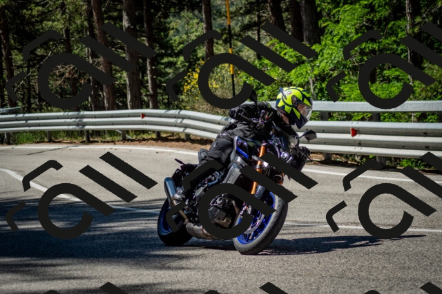 202506291031-DSC_2331_c2