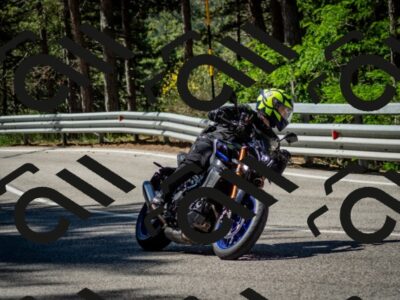 202506291031-DSC_2331_c2