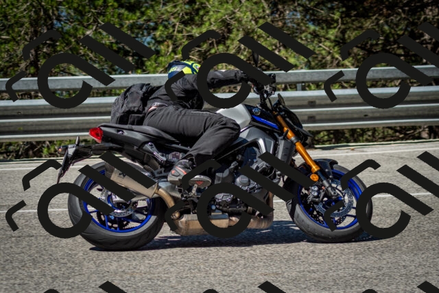 202506291031-DSC_2332_c2