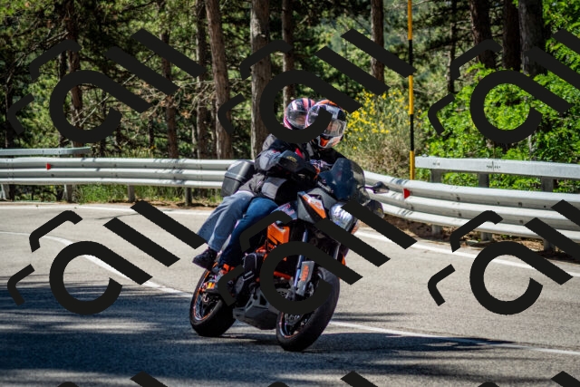 202506291031-DSC_2333_c2