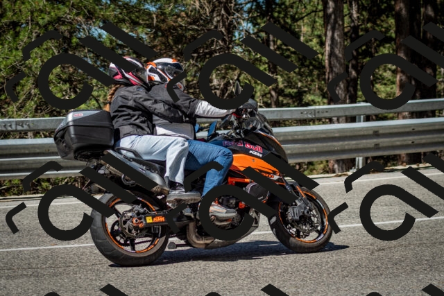 202506291031-DSC_2335_c2