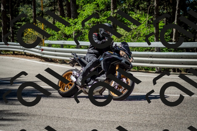 202506291031-DSC_2338_c2