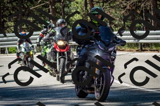 202506291031-DSC_2344_c2