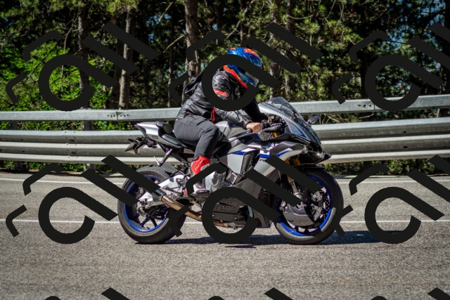 202506291032-DSC_2353_c2